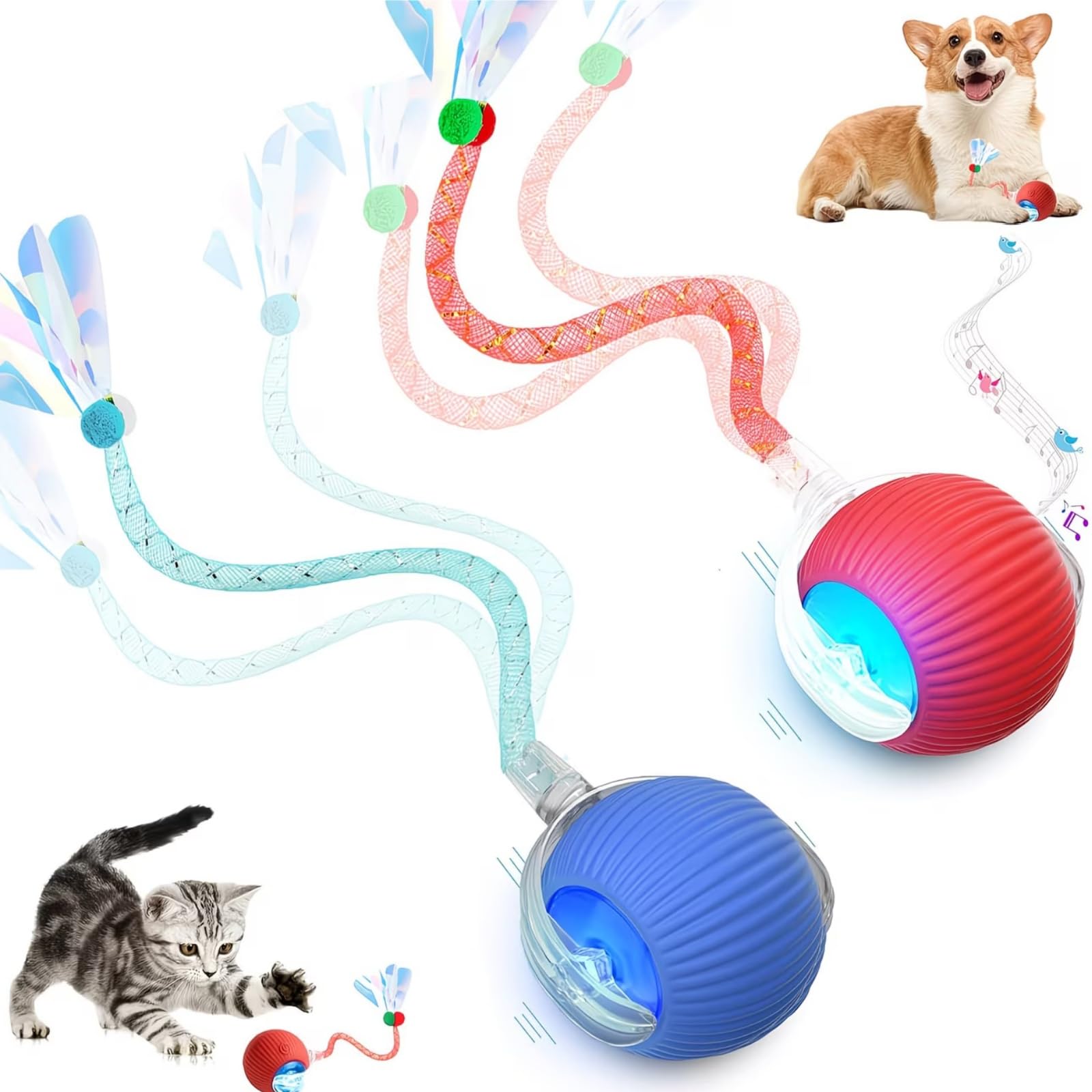 Cat Balls Interactive Cat Ball,USB Rechargeable Self-Moving Ball Can Emit Bird Chirps,Smart Chase Pet Balls,Automatic Moving Ball with Tail With 3 Modes,Kitten Balls for Bored Indoor Cats#Blue,Red