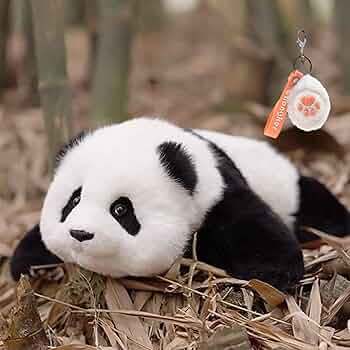 71yZB8-RzpL._AC_UF350,