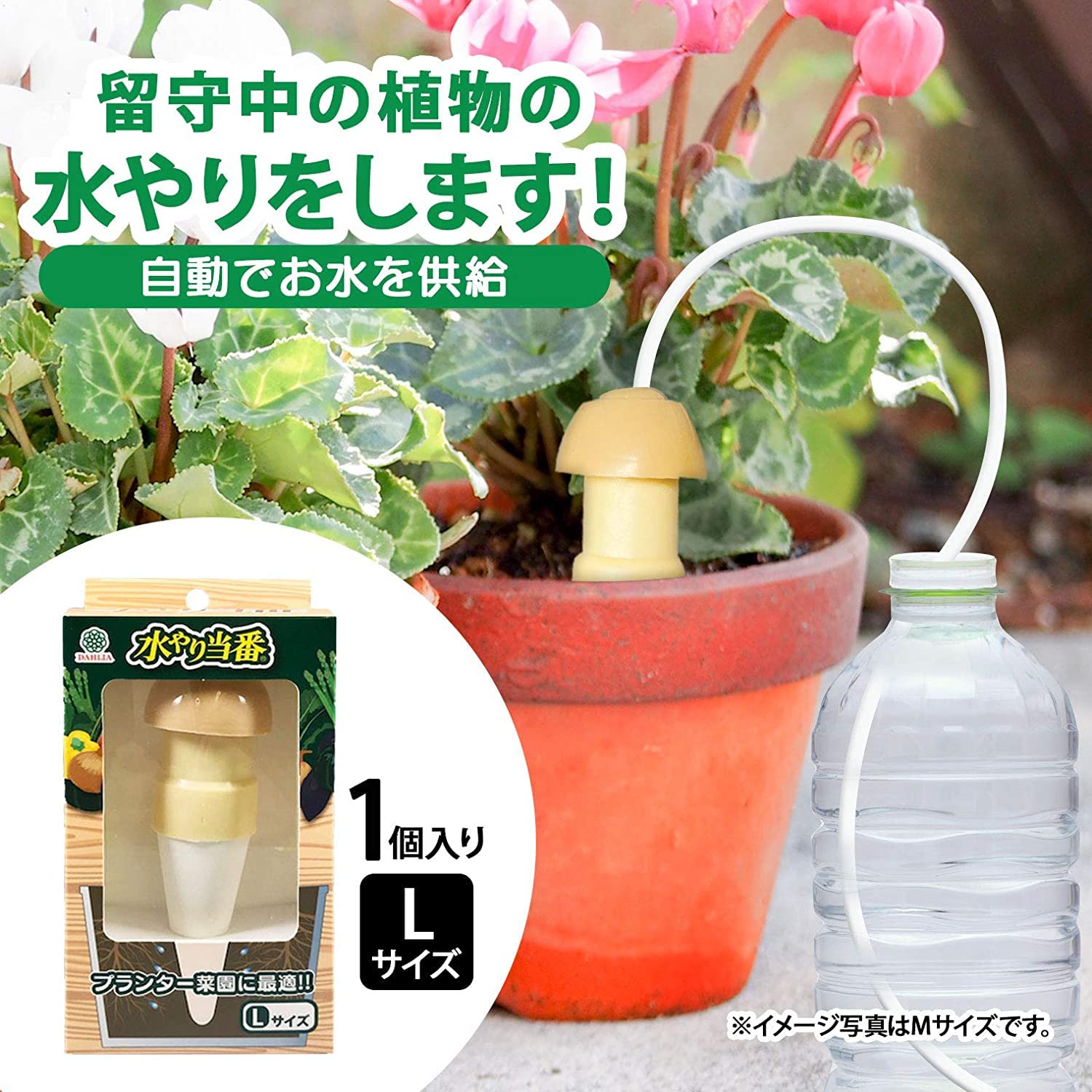 Amazon | マルハチ産業(Maruhachisangyou) 水やり当番 L 104048