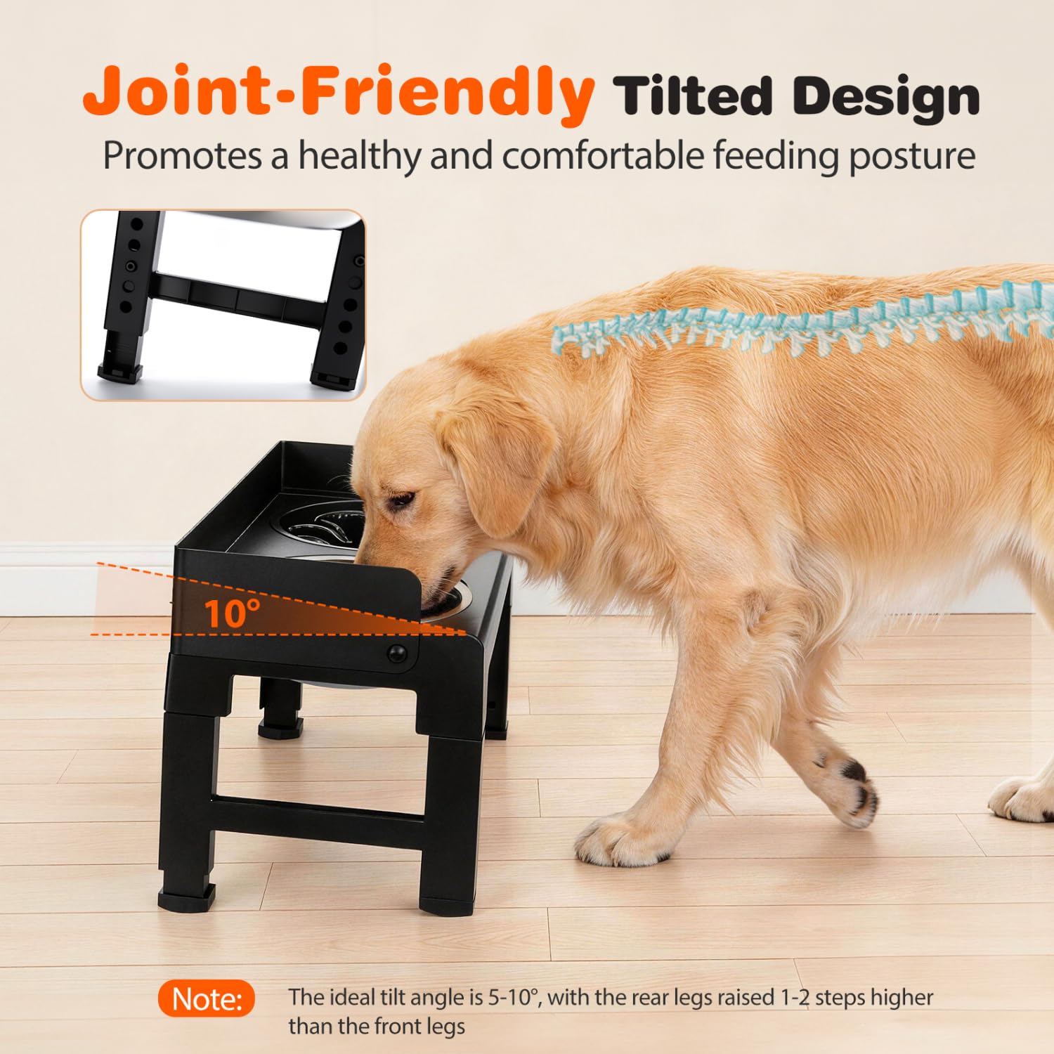 Nobleza Comedero Elevado para Perros Ajustable (6 Alturas), Soporte con Inclinación de 5° o 10° y Borde Antisalpicaduras, 1 x 1000ml Cuenco Acero Inoxidable, 1 x 600ml Comedero Perro Antivoracidad