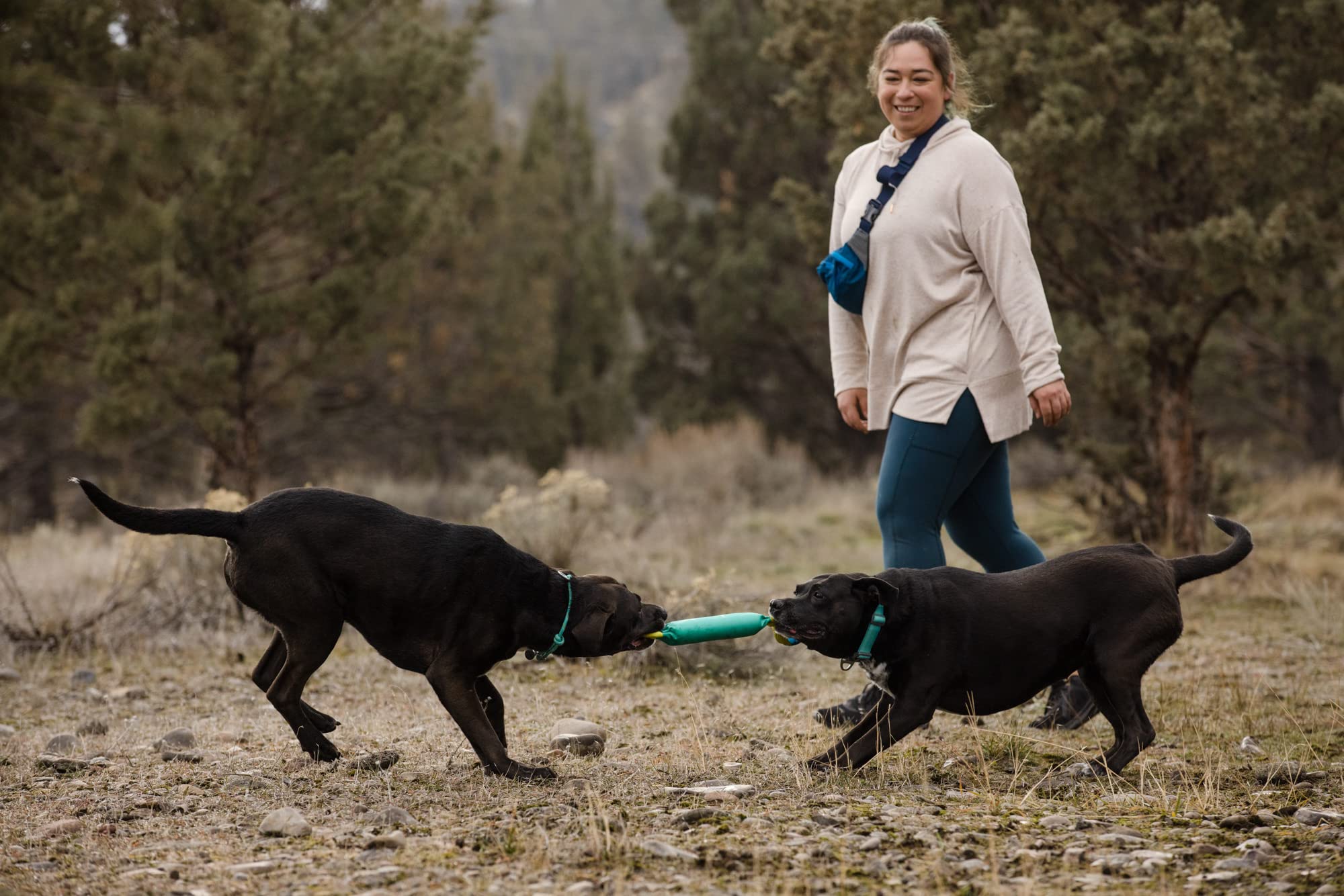 Ruffwear, Pacific Loop - Giocattolo interattivo per cani, colore: foglia di tè