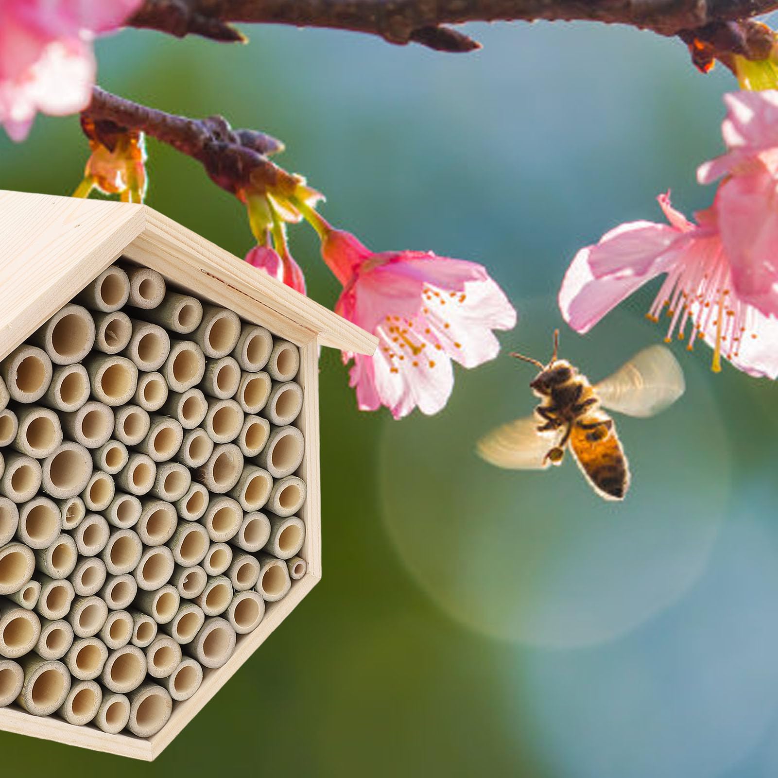 SIXRUN La Casetta per Api in Legno da Esterno Protegge e Attira le Api per La Produzione di Frutta Nei Frutteti