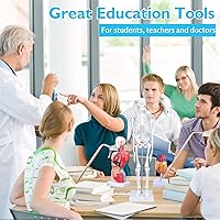Vista 5 de ANNWAH Modelo de torso de anatomía humana – Juegos de 3 modelos de corazón, torso y esqueleto humano, herramientas educativas para estudiantes