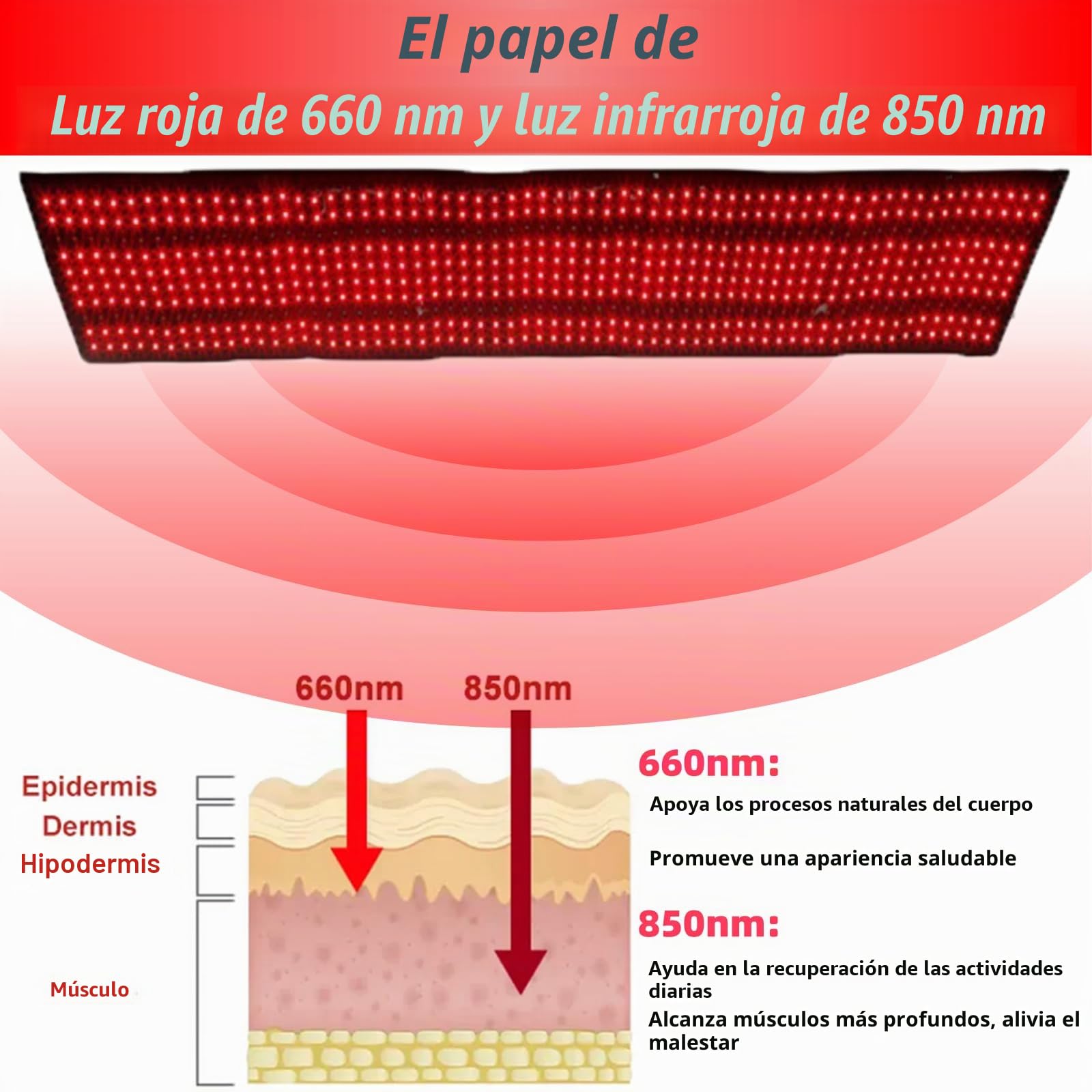 Esterilla de luz roja e infrarroja de cuerpo entero, 630 LED, almohadilla de 660 nm y 850 nm con control remoto, 3 modos y 5 niveles de brillo, tamaño grande (160cm*35cm)