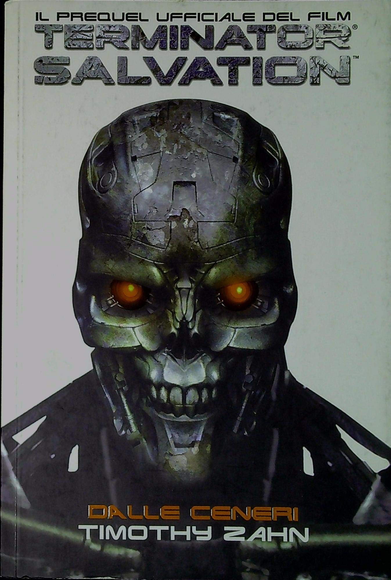 Terminator Salvation: Dalle Ceneri - 4