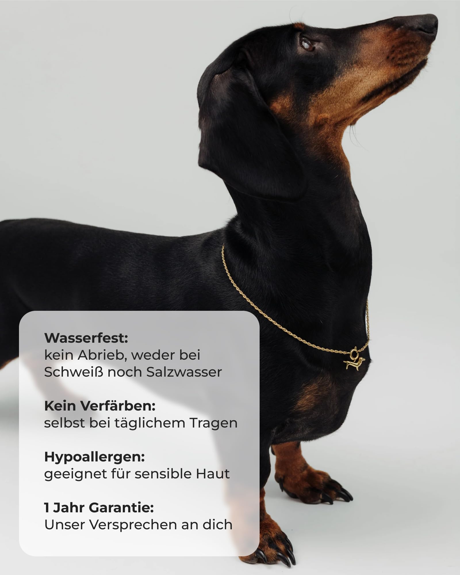 Luamaya wasserfeste Halskette mit Dackelanhänger für Damen