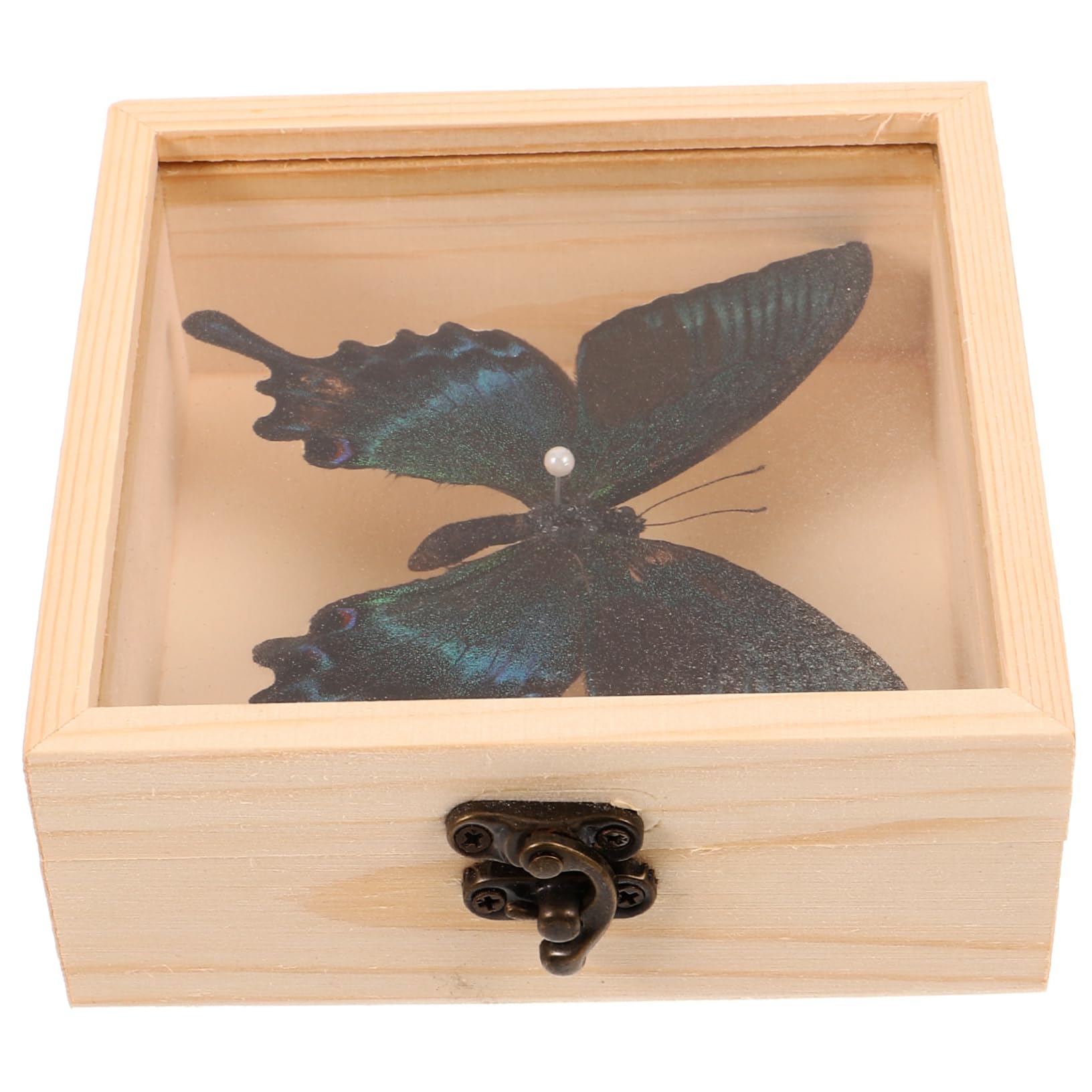 ABOOFAN 1 Set Home Decoration Valintines Valetines Decoración De Uñas Herrramientas Wall Hanging Specimen Decoration for The Room Specimen Display Frame DIY Display Frames Wooden