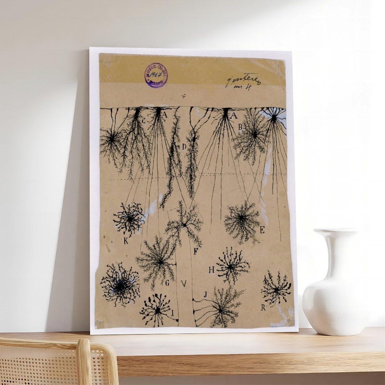 Cuadro de neuronas Cajal – Póster de anatomía cerebral antigua de células gliales para dormitorio, lienzo para decoración de pared, oficina, habitación, decoración estética, marco de regalo, 12 x 18