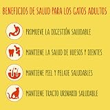 Ver la foto 6