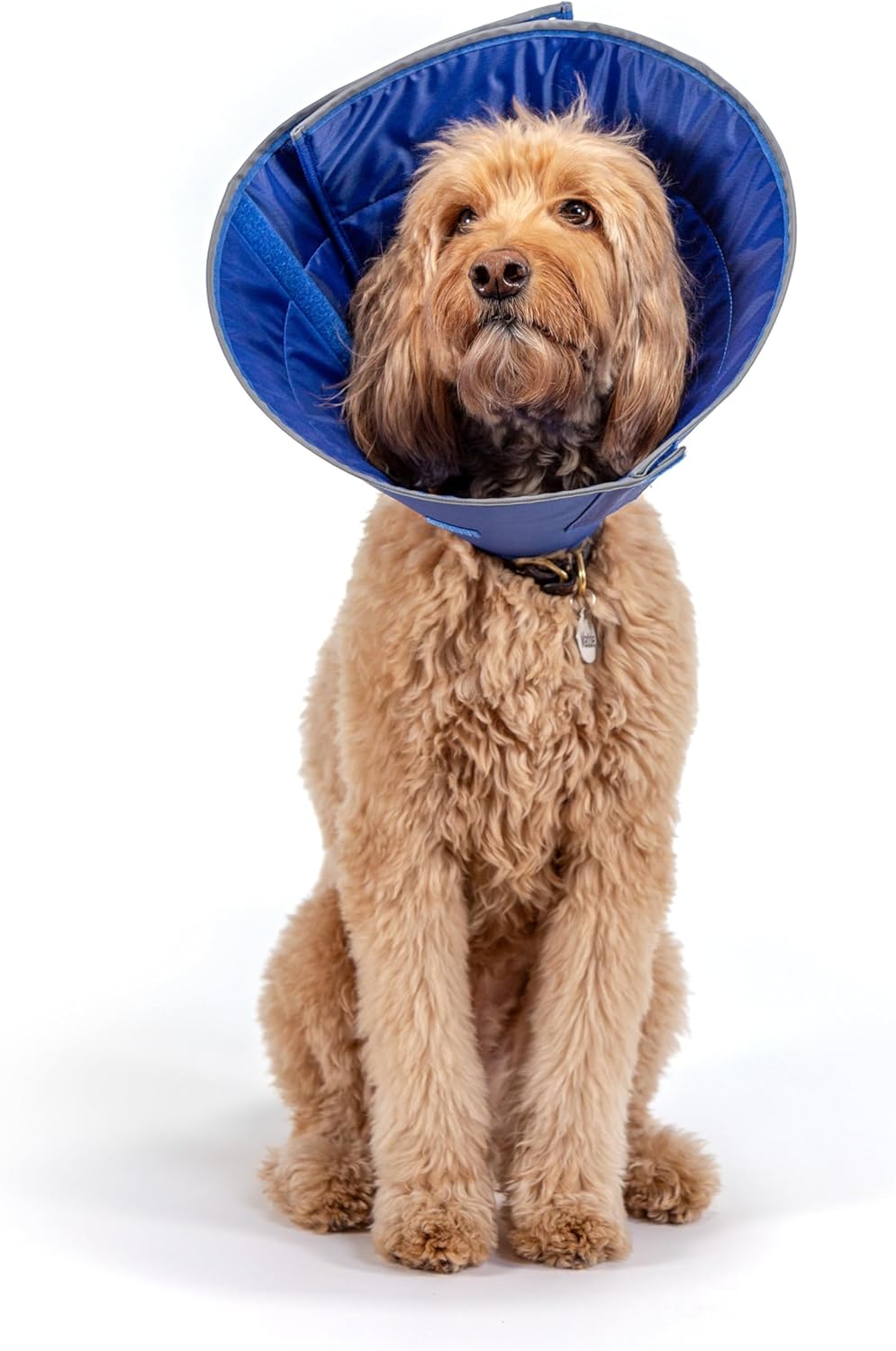 Caring Collar (Large)