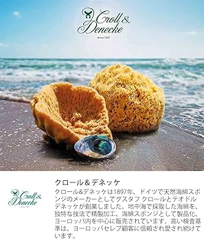 天然 特大！ 海綿スポンジ ギリシャ産 グラス種 XXLサイズ No.369 天然 特大！ 海綿スポンジ ギリシャ産 グラス種 XXLサイズ No