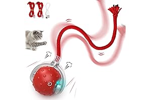 Interactive Cat Toys with Whisker Fun