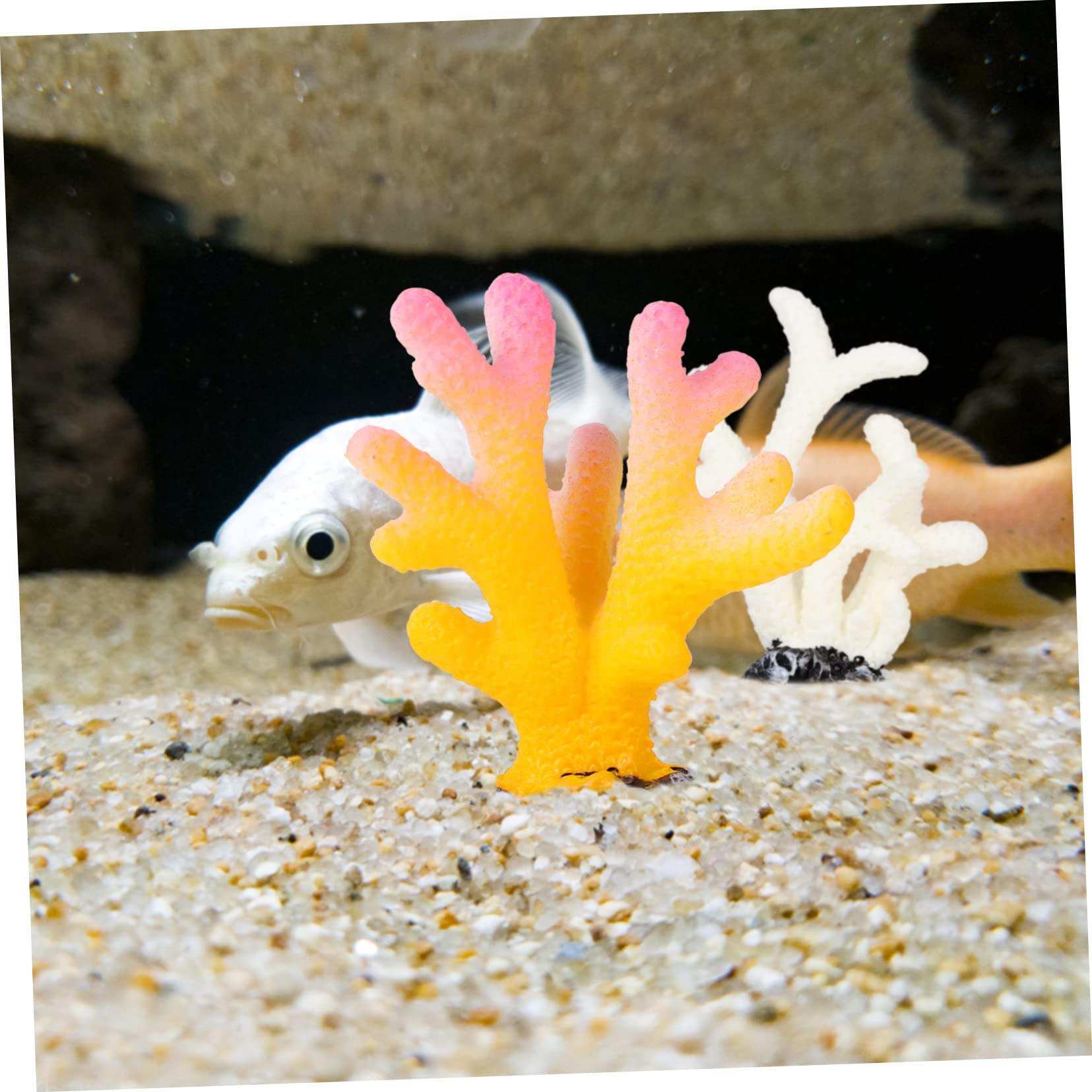 飾りサンゴ Amazon.co.jp: Parliky 6個人工珊瑚装飾 水族館用オーナメント 魚の