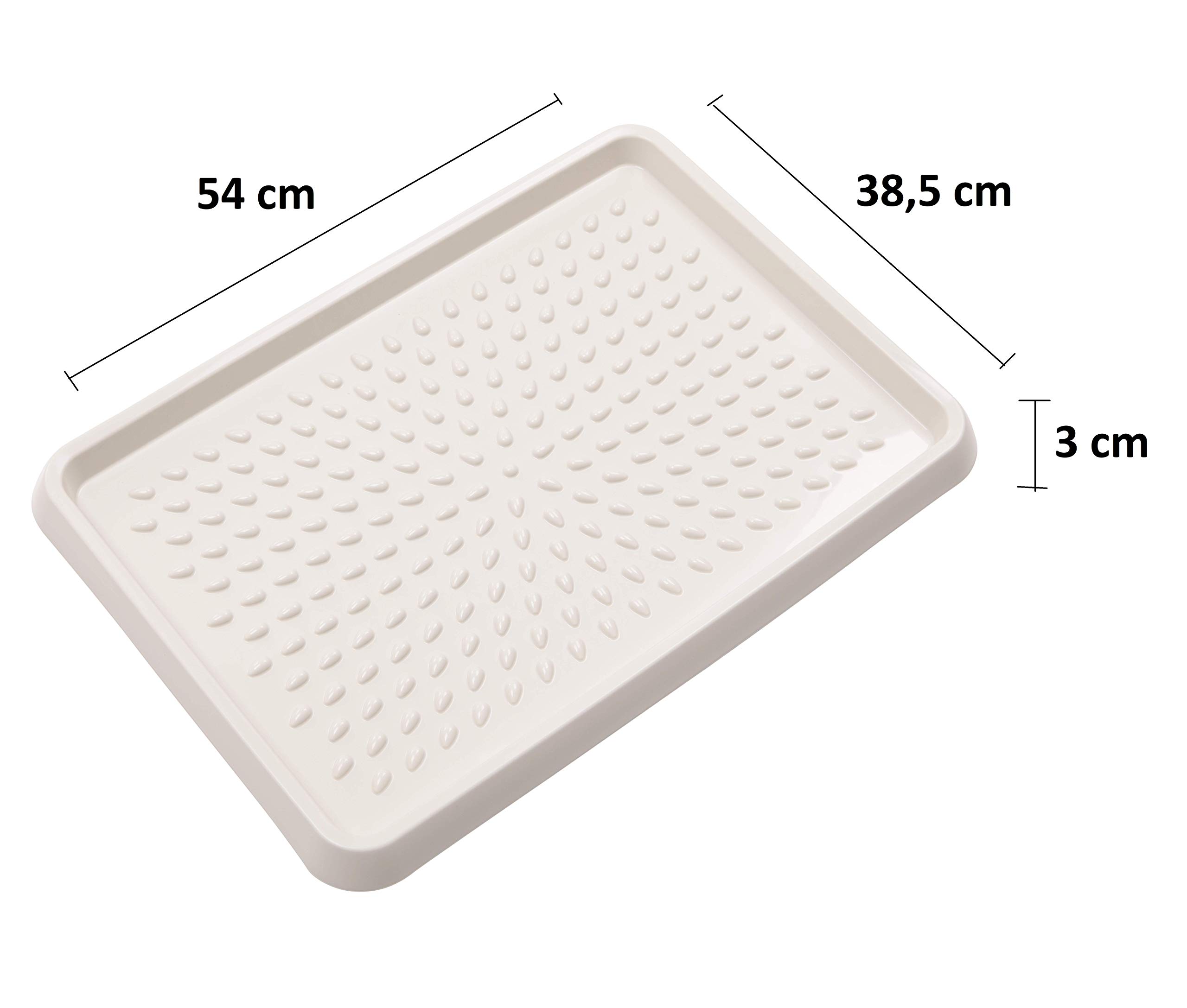 BranQ Home essential BranQ 5901098048408 półka na buty z tworzywa sztucznego, PP, kremowa, 2 szt.