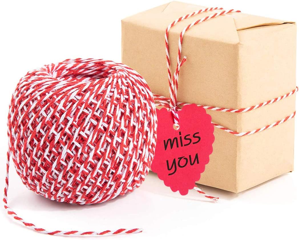 100PCs Valentine Gift Tags Heart Kraft Paper Gift Tags with String for Wedding Party Gift Wrapping Hang Label : Health & Household