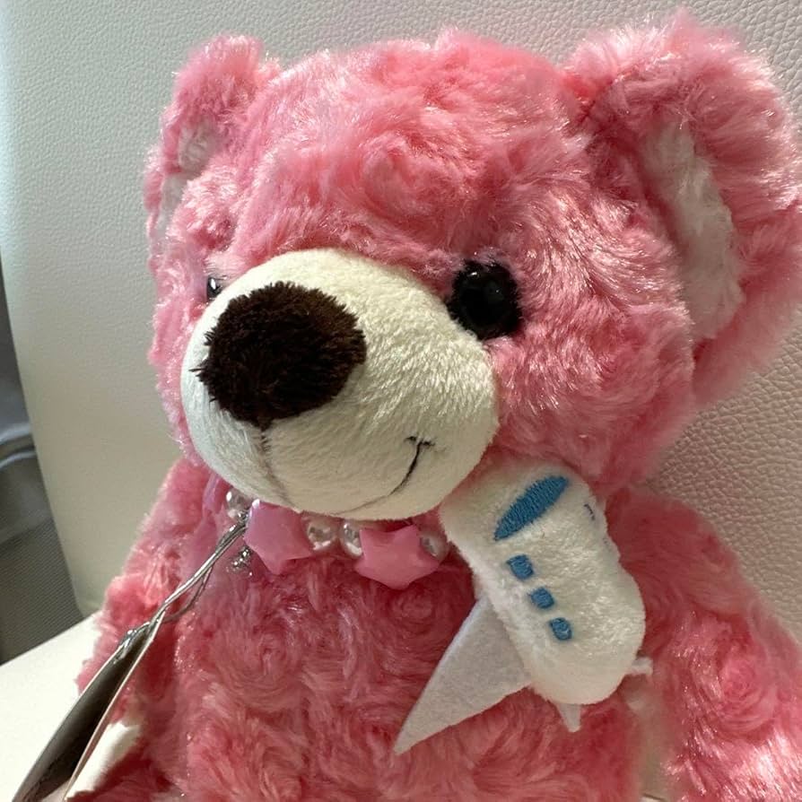 Amazon.co.jp: ご当地ベアS 空港限定 フライトベア テディベア