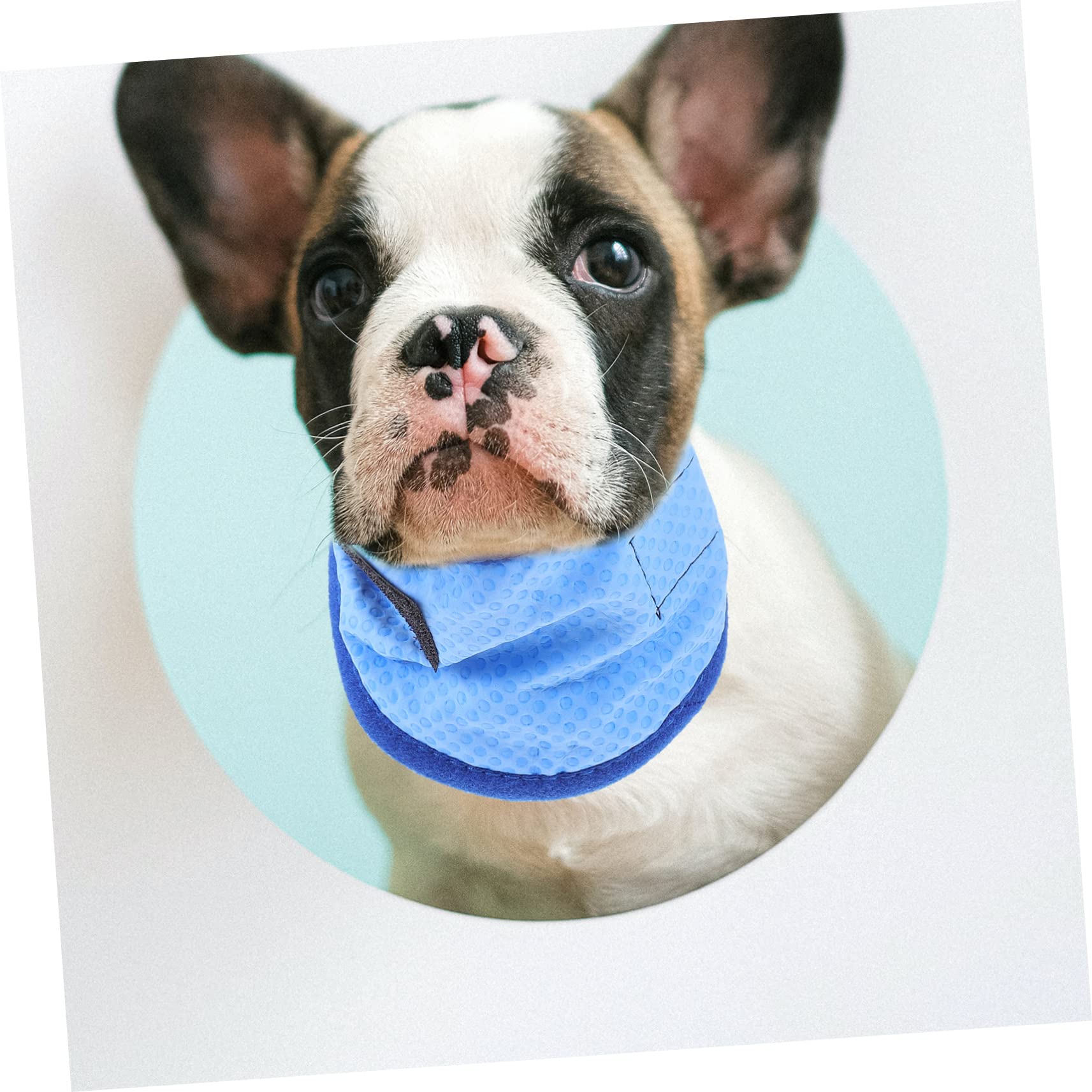 Kisangel 4stücke Kühlendes Hundehalsband Aus Atmungsaktivem Material Accessoire Für Sommerpartys Und Outdoor-aktivitäten Mit Innovativer Kältetechnologie Für Sofortige Abkühlung