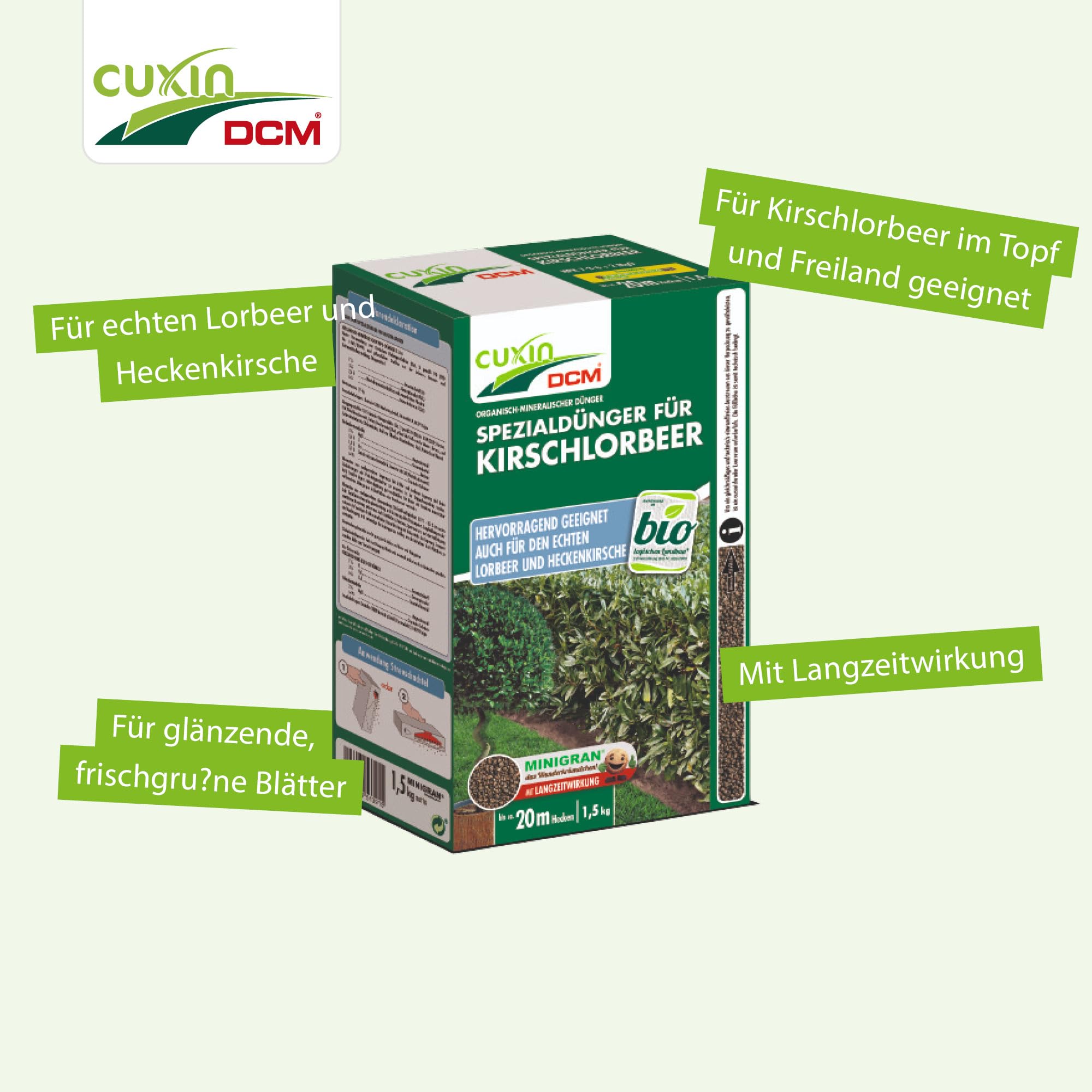 monstera minima kaufen Hydro Monstera Minima – Green Me Up main image 1