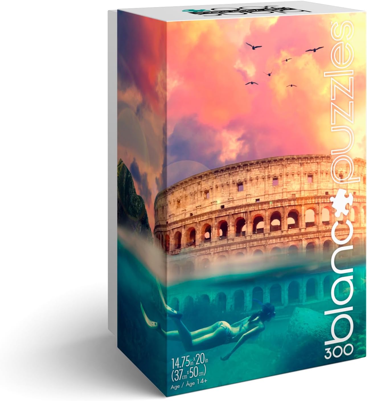 Buffalo Games - Diego PH - Below The Surface - 300 Piece Jigsaw Puzzle for Adults -Challenging Puzzle Perfect for Game Nights - Finished Size is 21.25 x 15.00