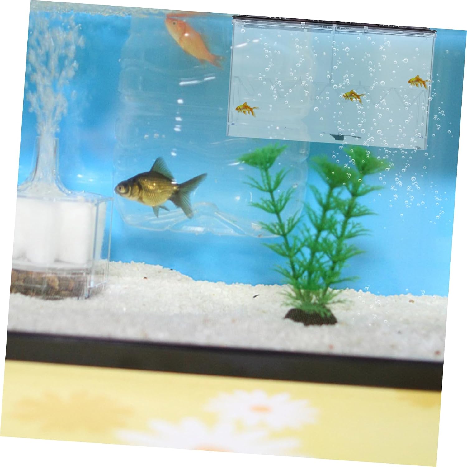 Mikikit Aquarium Incubation Box Breeding Box Independent Compartments for Betta Shrimp and Fry Multi-Function Aquarium Supply for Safe Isolation and Increased Survival Rate