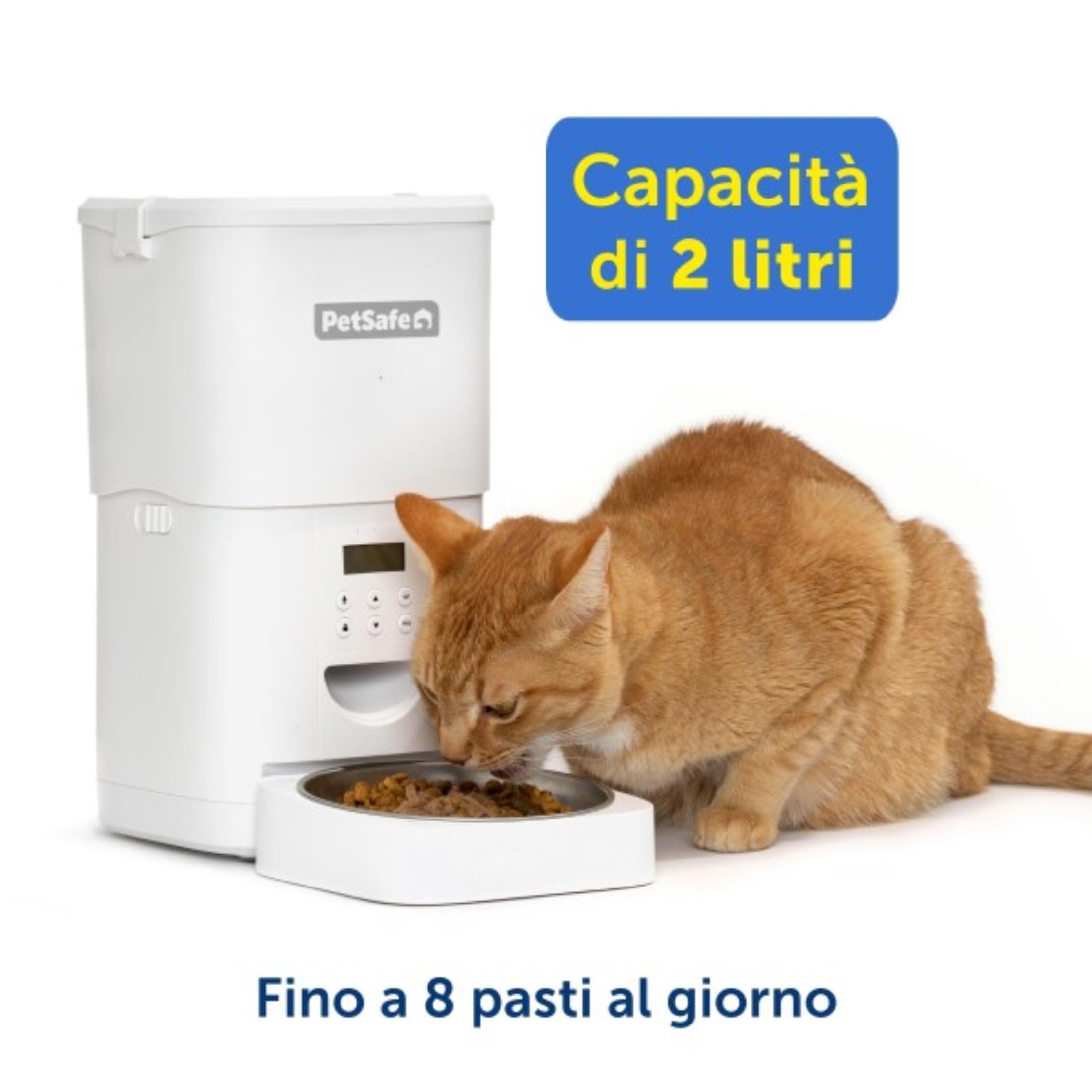 PetSafe FlexFeed 2L – Distributore automatico di cibo per cani e gatti con timer e controllo porzioni