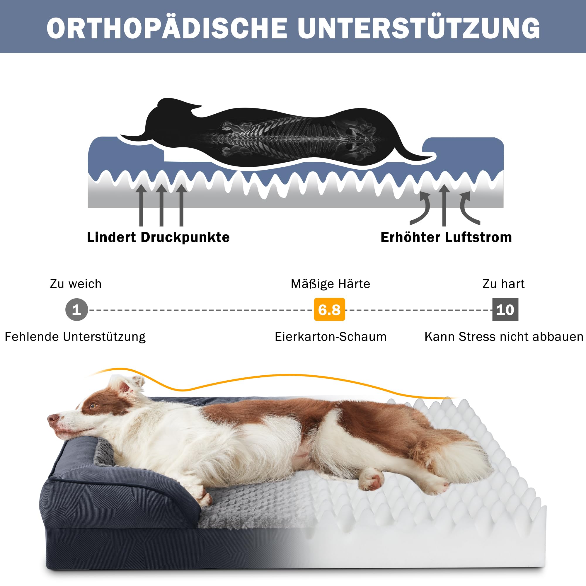 JOEJOY Cuccia ortopedica media per cani di taglia media, lavabile, cuscino per cani con struttura a nido d'ape e imbottitura impermeabile rimovibile in schiuma ortopedica grigio