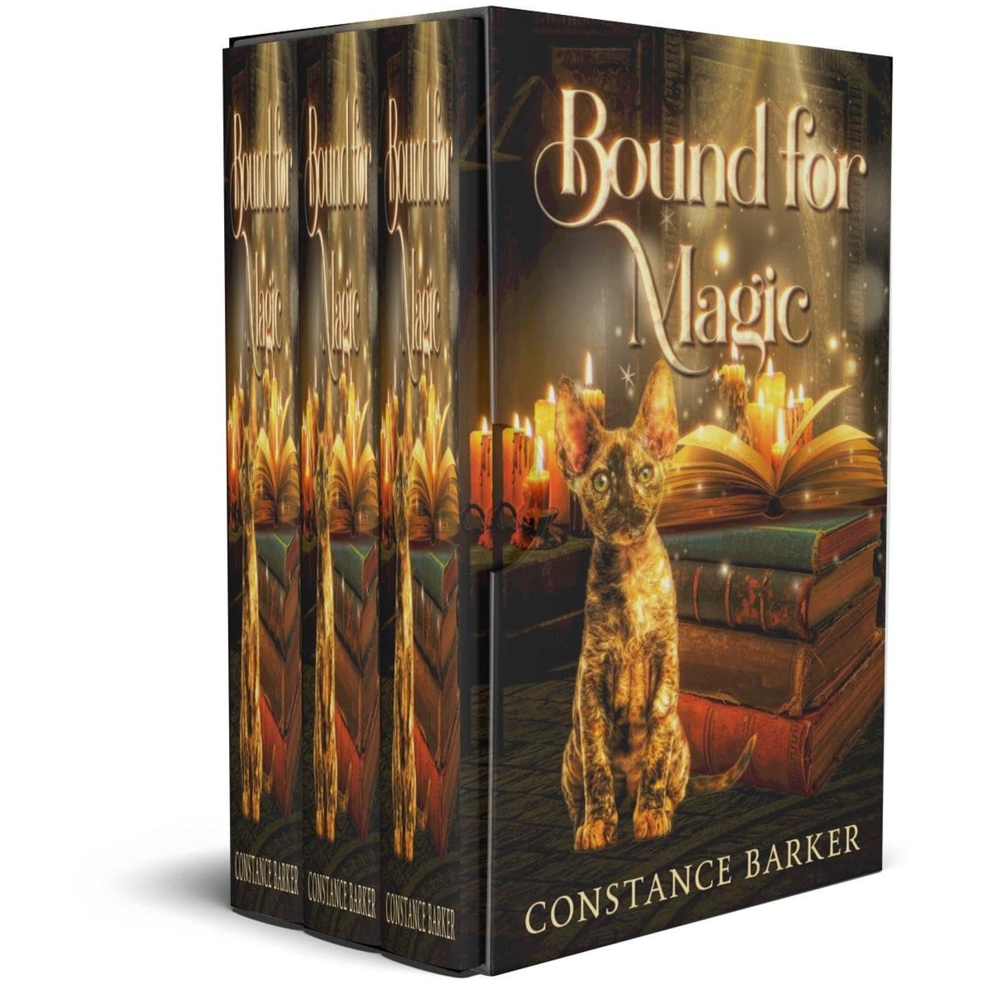 The Complete Tortie Kitty Mystery Trilogy Series