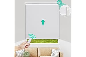Allesin Motorized Smart Shade