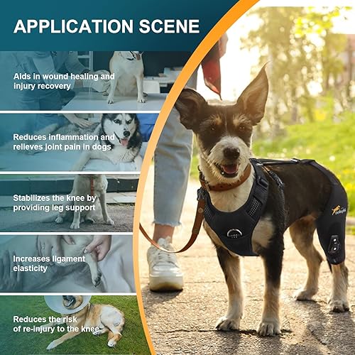 Miniatura 3 de Rodillera para perro para pierna trasera desgarrada ACL con estabilizador de bisagra ajustable, soporte de espalda de perro para osteoartritis,