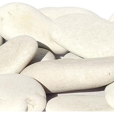 MGS SHOP Dekokies Zierkies Garten Kies Splitt - Farbe wählbar (5 kg, cremeweiß 60-120)