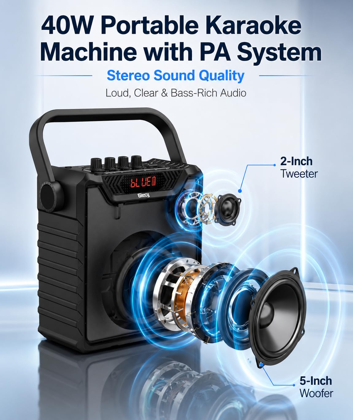 Amplificatore Vocale con 2 Microfono senza fili UHF,Cassa Bluetooth Portatile con karaoke professionale completo,Sistema PA e Bass Boost per Adulti,Bambini,Insegnanti,Feste