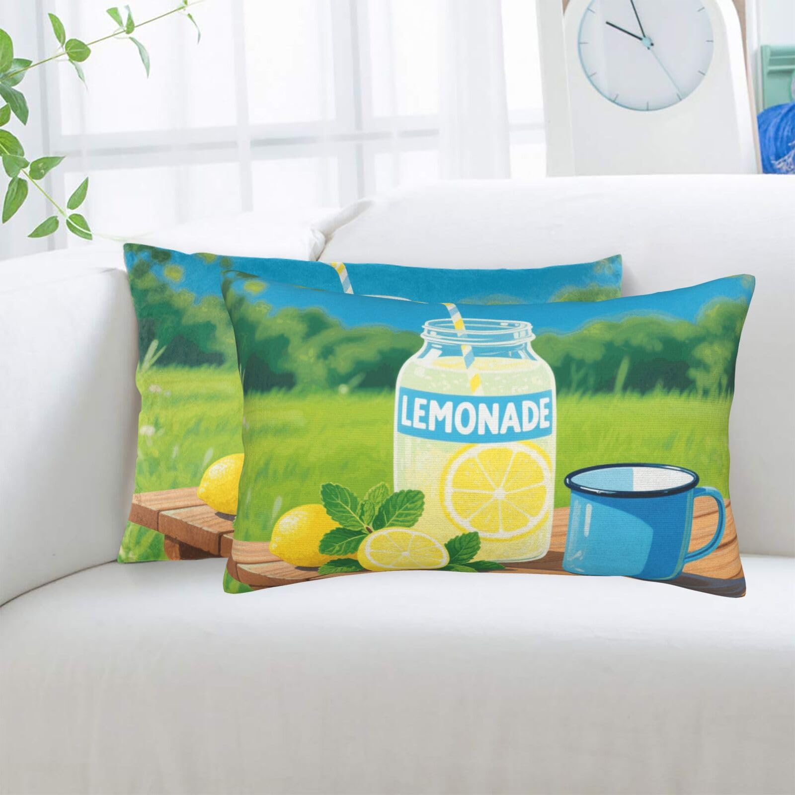 2 Pack Standard Pillowcases Sets, Ultra Soft Comfort Microfiber Plush Pillow Cases Lemonade Decorative Throw Pillow Cover with Hidden Zipper for Bedroom, Sofa, Couch,16"X24"