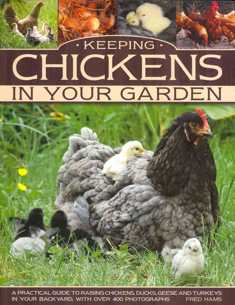 Keeping Chickens In Your Garden A Practical Guide to Raising Chickens