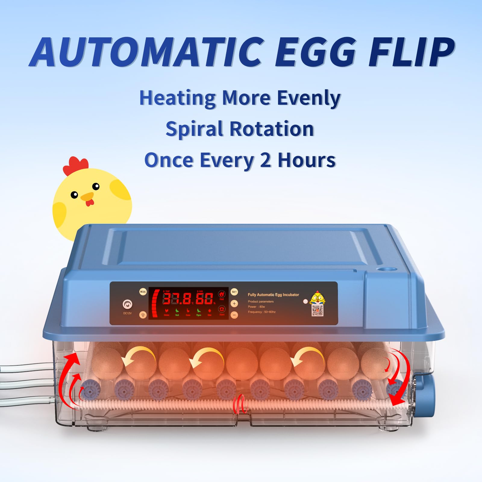 その他 Egg chicken Olive Egger/Easter Egger Rare Breeds Mixed Chicken Hatching eggs