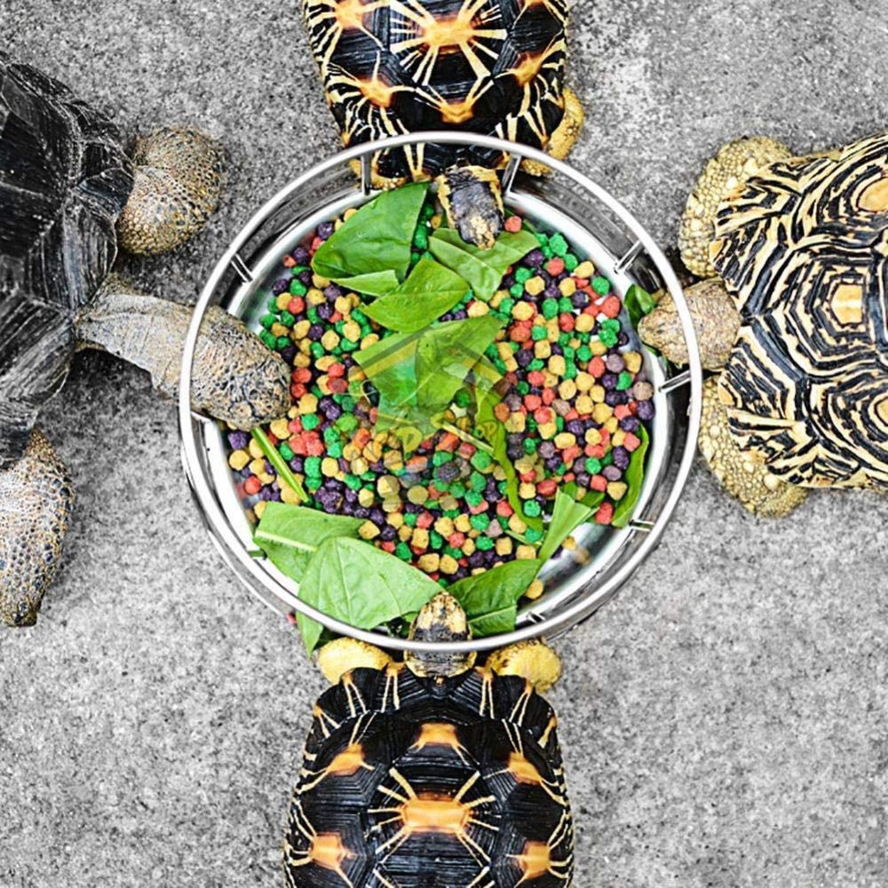 Alimentador De Tortuga De Acero Inoxidable Cuenco De Comida Para Tortuga Cuenco De Comida Para Tortuga Plato De Comida Para Tortuga De Medio Agua Dispositivo De Alimentación Para Tortuga Lavabo Para r