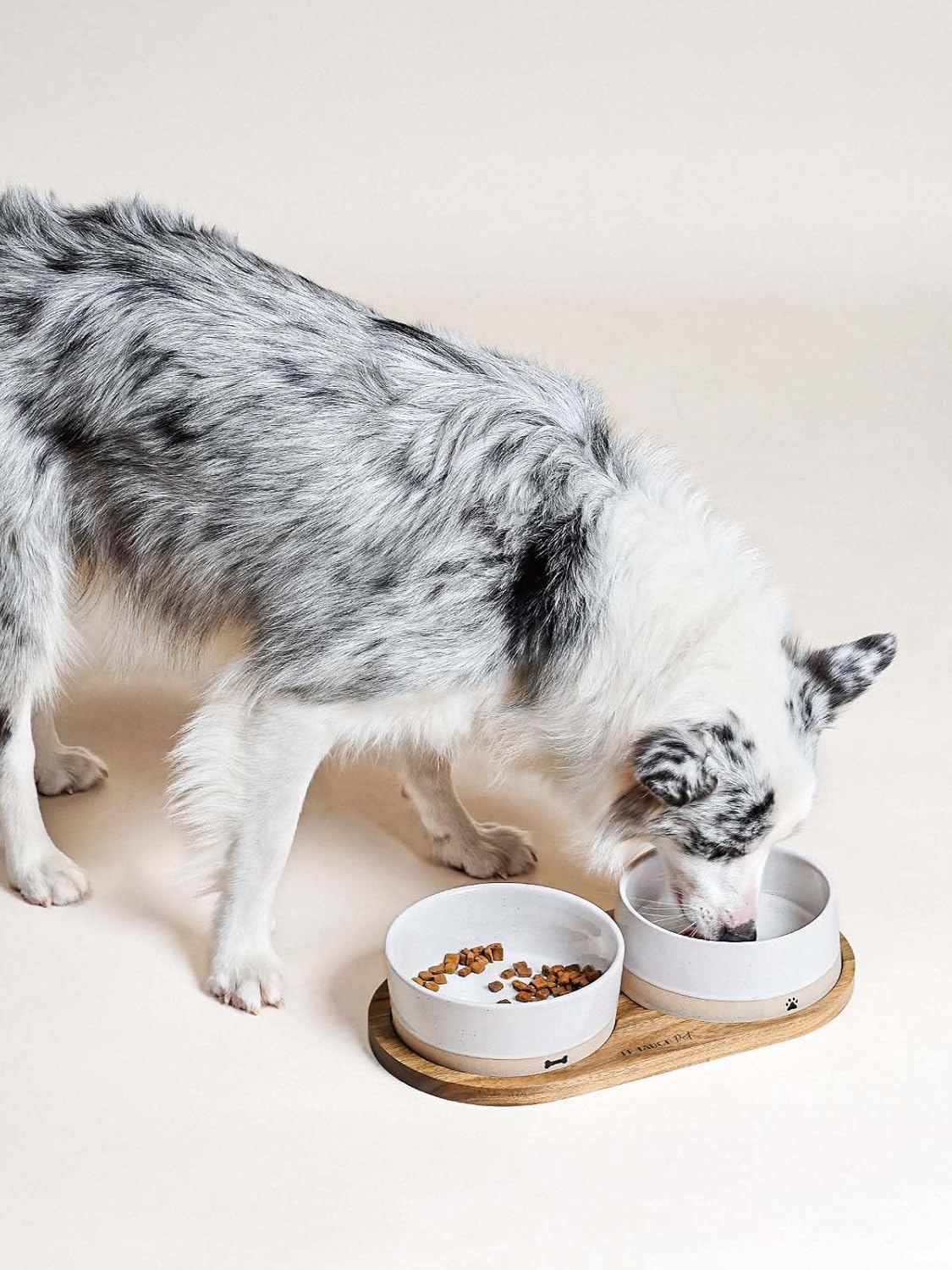 LE TAUCI PET Ceramic Dog Bowls for Medium Small Dogs - 3.2 Cup Medium Dog Food and Water Bowls with Acacia Wood Tray, Dual Food and Water Bowls with Weighted Non-Slip Base - Image 9