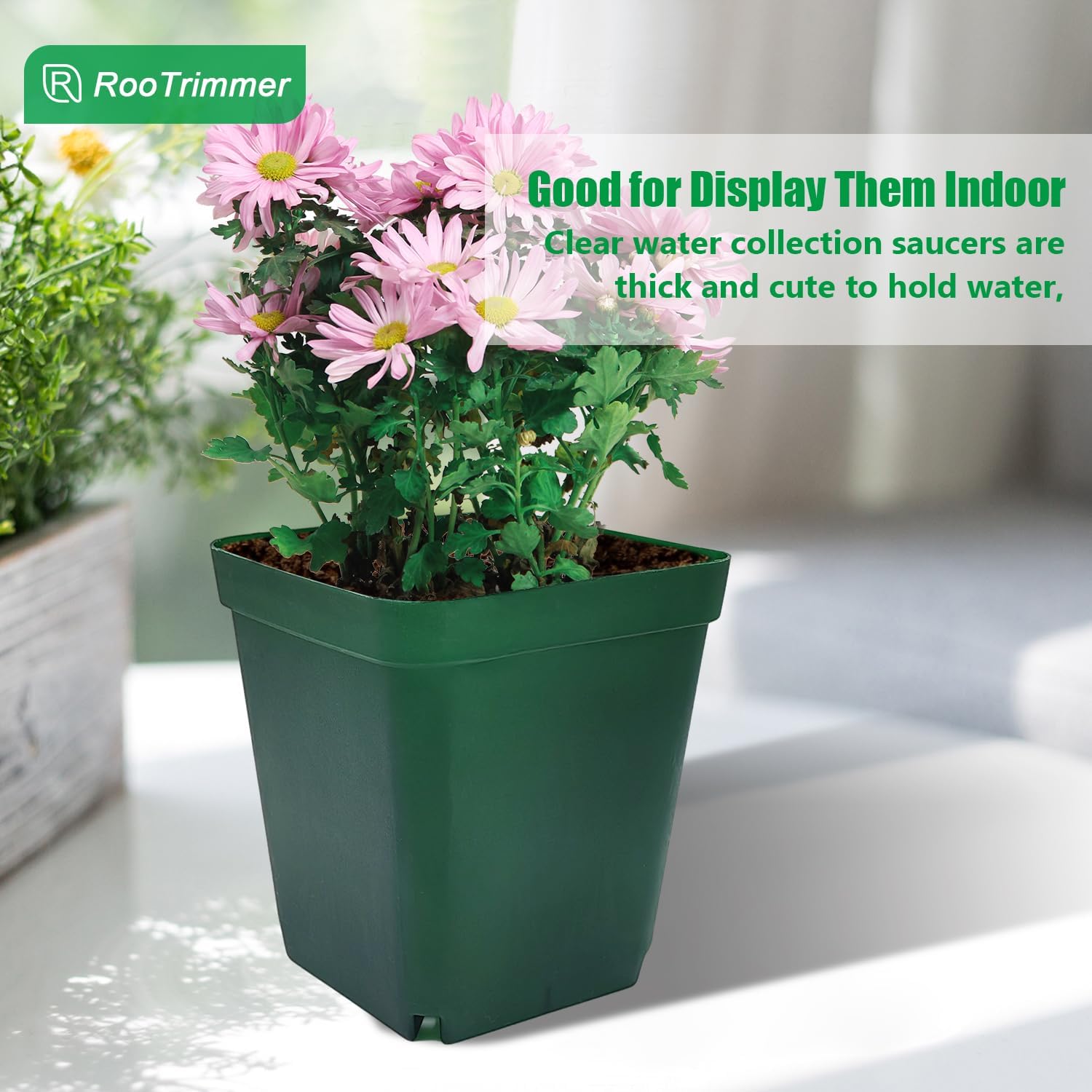 Square Nursery Seedling Pot 3.5 Inches 90 Pcs, Small Nursery Pot Plastic Thick and Sturdy Seed Start Germination Pot for Plant Propagation and Seeding(Green,3.54 Inches, 90Pcs) - Image 7