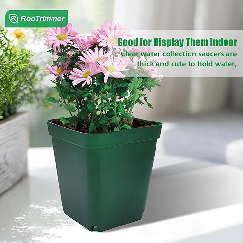 Vista 6 de Macetas cuadradas para vivero de suculentas 4 pulgadas 60 piezas Macetas profundas de plástico para plántulas de flores para el crecimiento