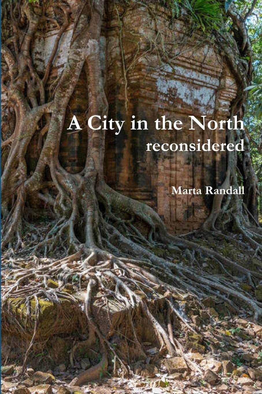 Cover of A City in the North: Reconsidered