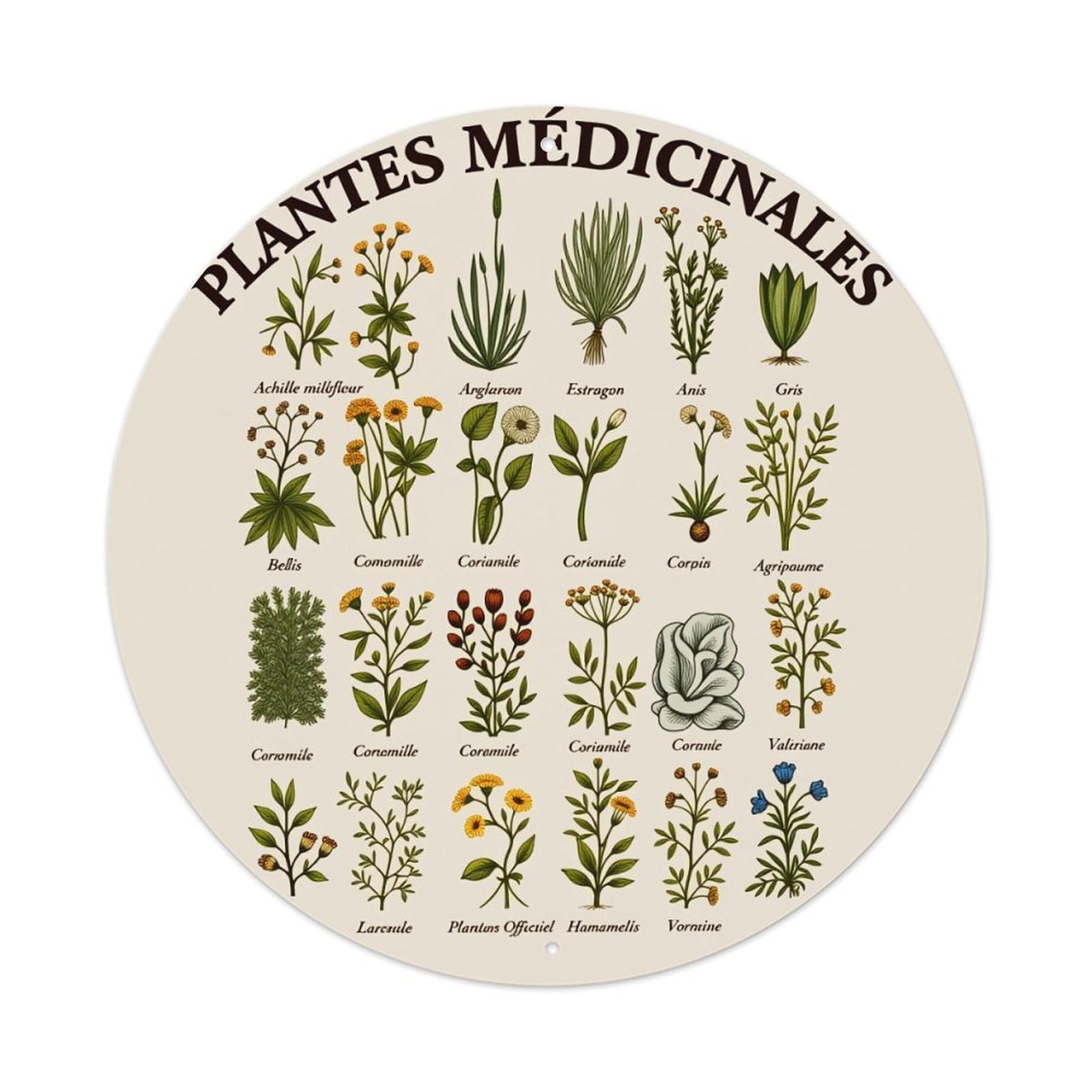 Plants Medicinal Herbs Botanical Illustration Round Tin Sign Vintage Style Metal Sign Home Bar Garden Wall Plaque Decor Metal Poster 8x8 Inch