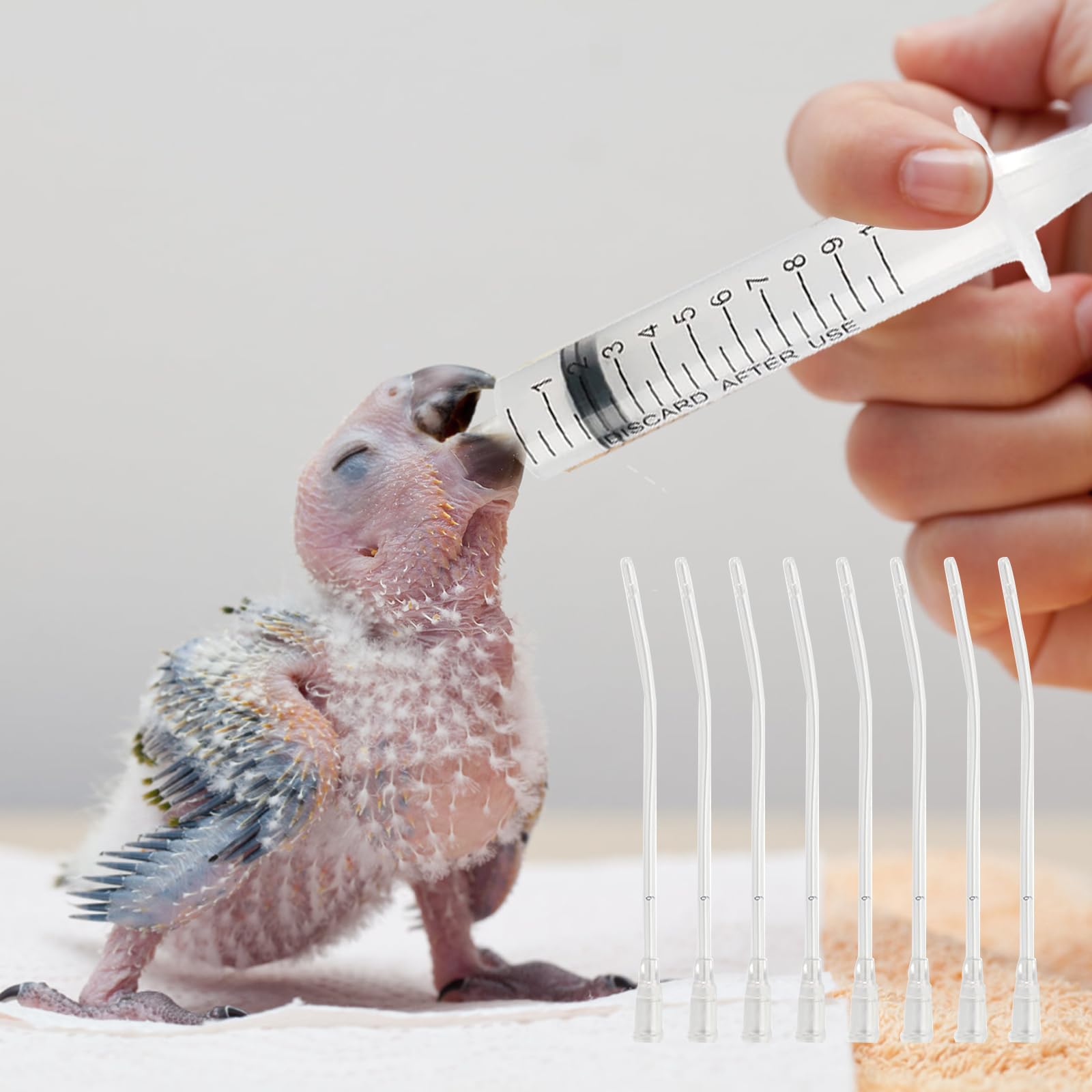 12 Pièces Sondes d'alimentation pour Oisillons, Seringue d'alimentation, Seringue Bébé Oiseau avec 2 Seringues de 10 ML, pour Perroquets, et Petits Animaux pour Jeunes Oiseaux
