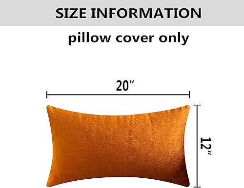 Vista 220 de Home Brilliant Fundas de almohada color verde azulado súper suaves cuadradas de terciopelo azul para sofá, dormitorio de niñas pequeñas, 18 x 18