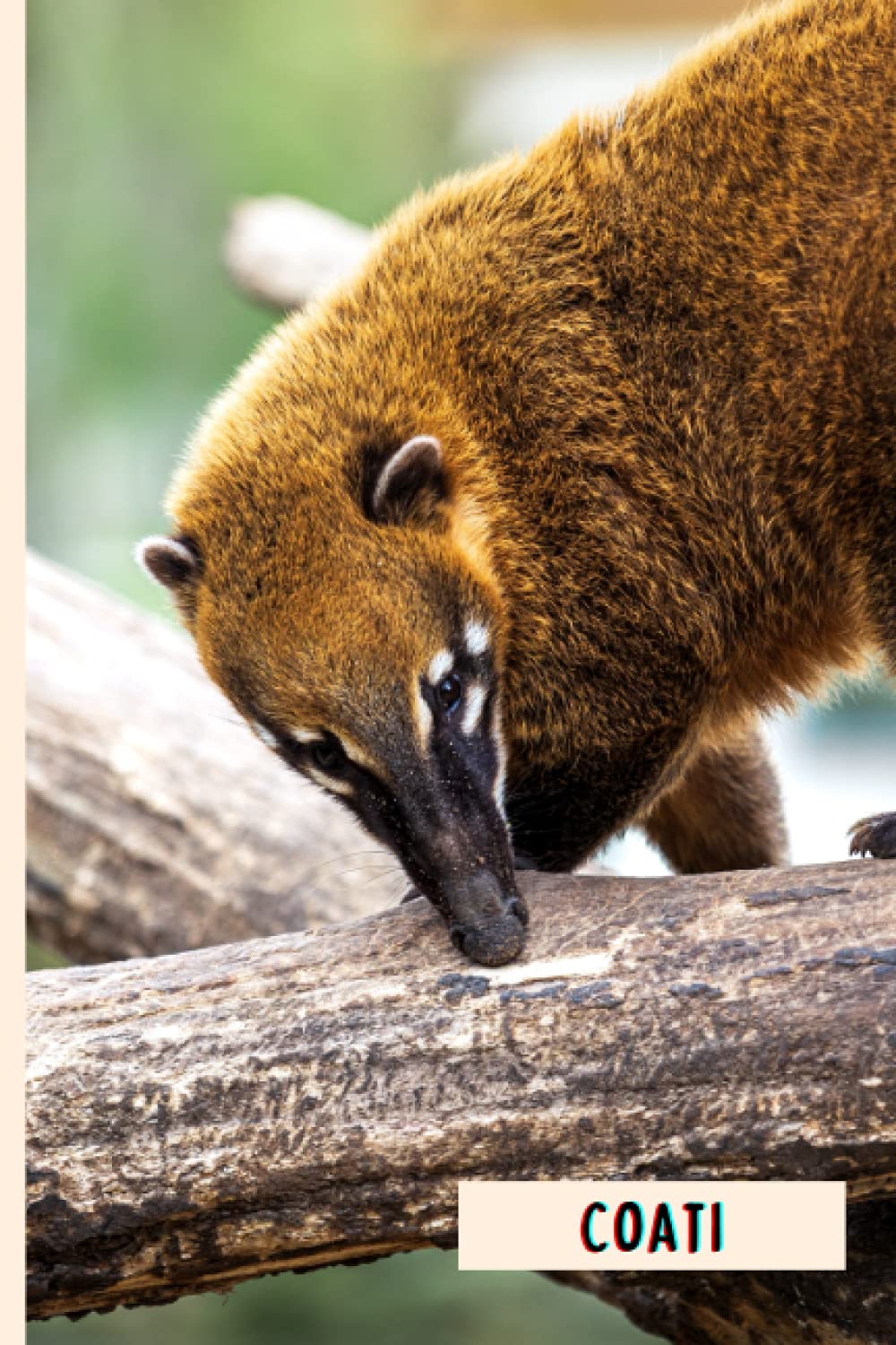 Coati: Composition Notebook For Coati Lovers , Coati Lined Journal ,6x9 Inches , 110 Pages ,Coati Diary