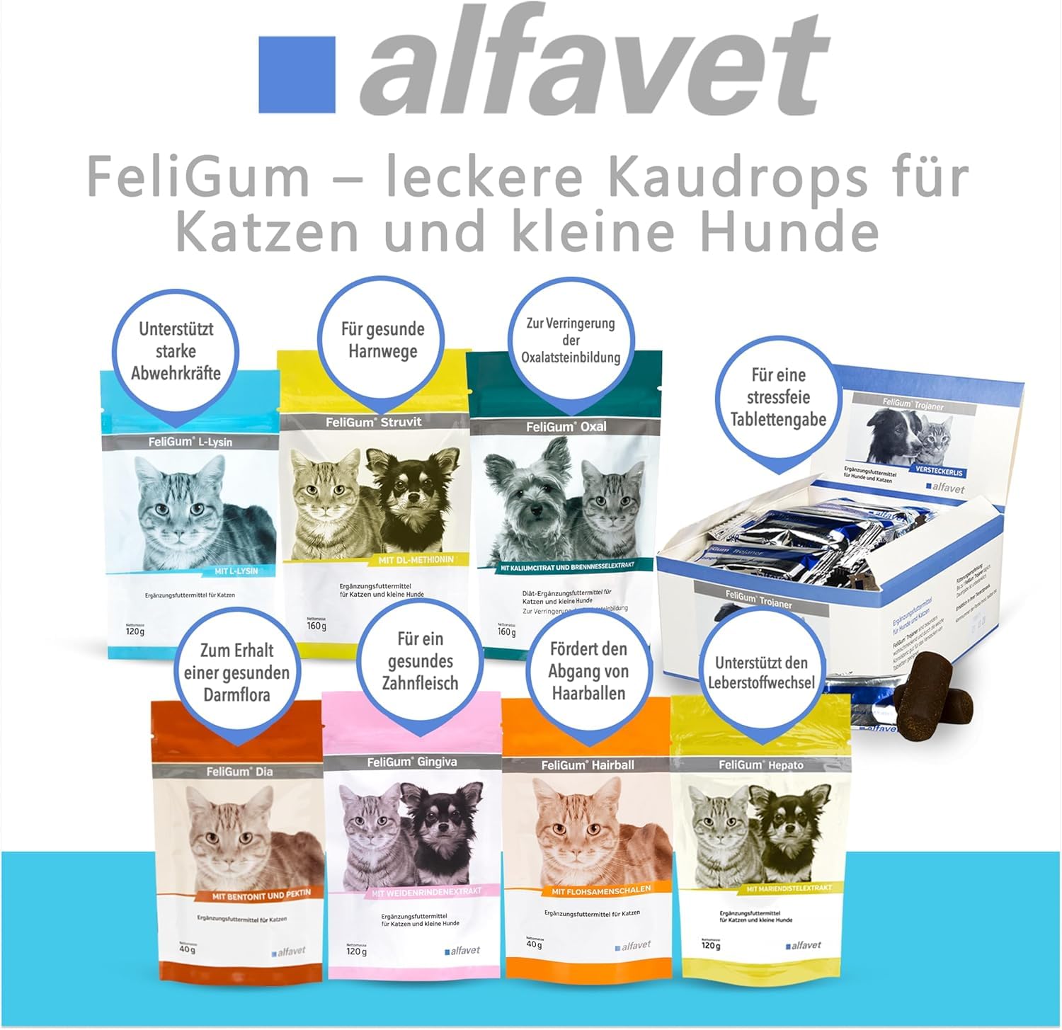 Alfavet FeliGum L-Lisina en caso de Coryza, complemento alimenticio para gatos, bolsa de 120 g, aproximadamente 60 pastillas para masticar