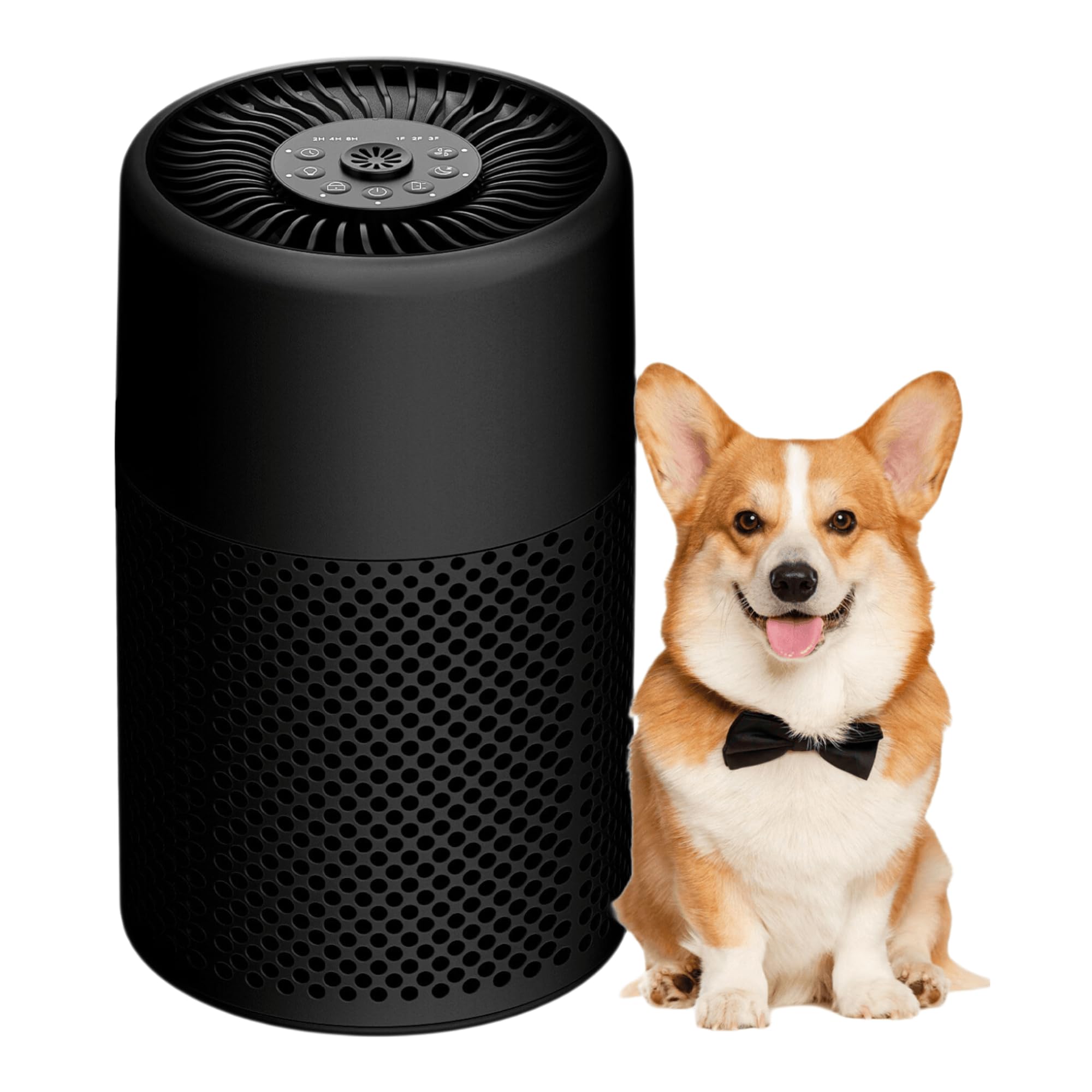 Confezione da 1 purificatore d'aria per camera da letto e casa, vero filtro HEPA per polvere, fumo, peli di animali domestici, piccolo purificatore d'aria con modalità sleep per camera da letto e