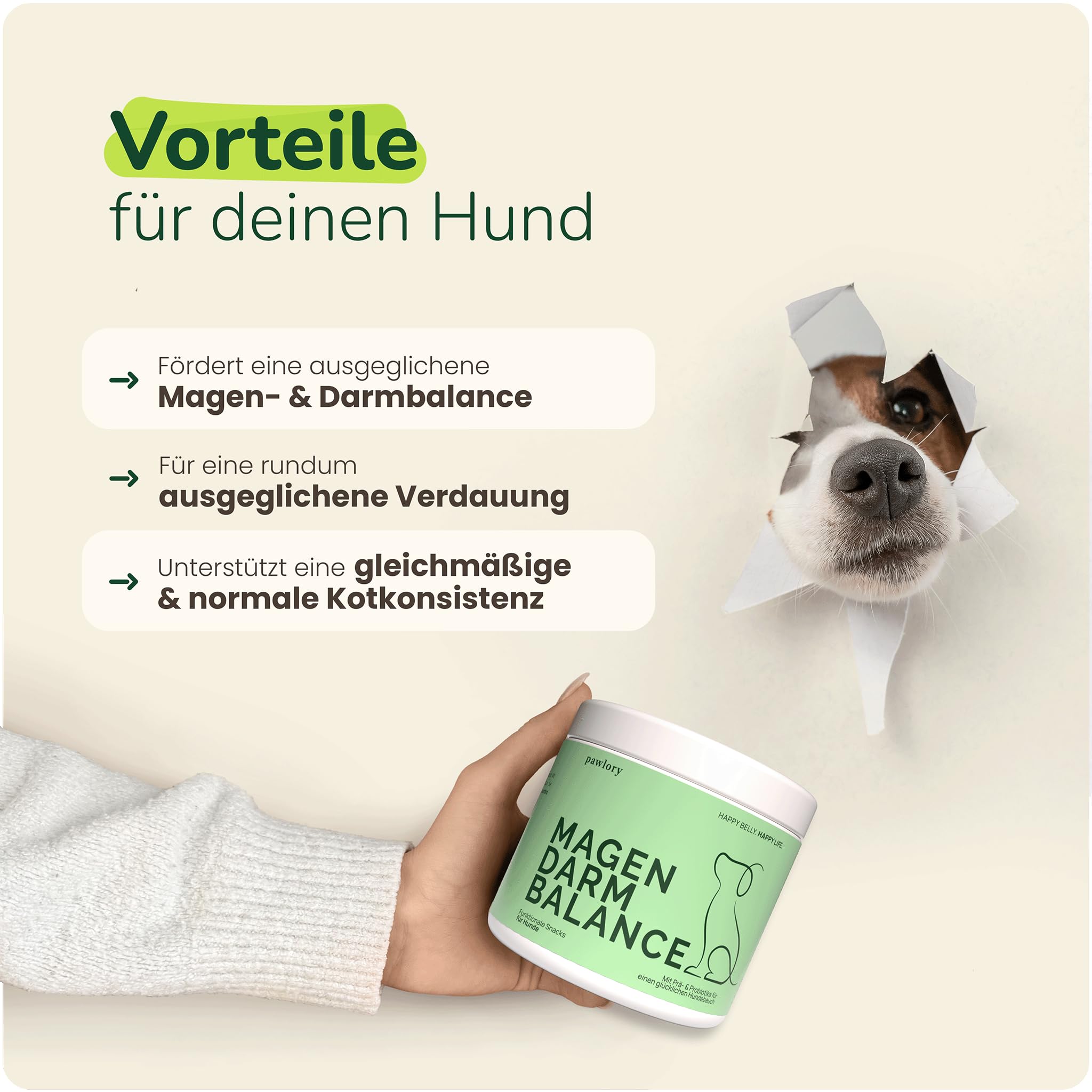 Prä- & Probiotika für Hunde – 100 funktionale Snacks (300 g) | Unterstützt Darmflora & Verdauung | Bei Grasfressen, Blähungen & sensiblen Mägen | Auch zur Unterstützung des Immunsystems