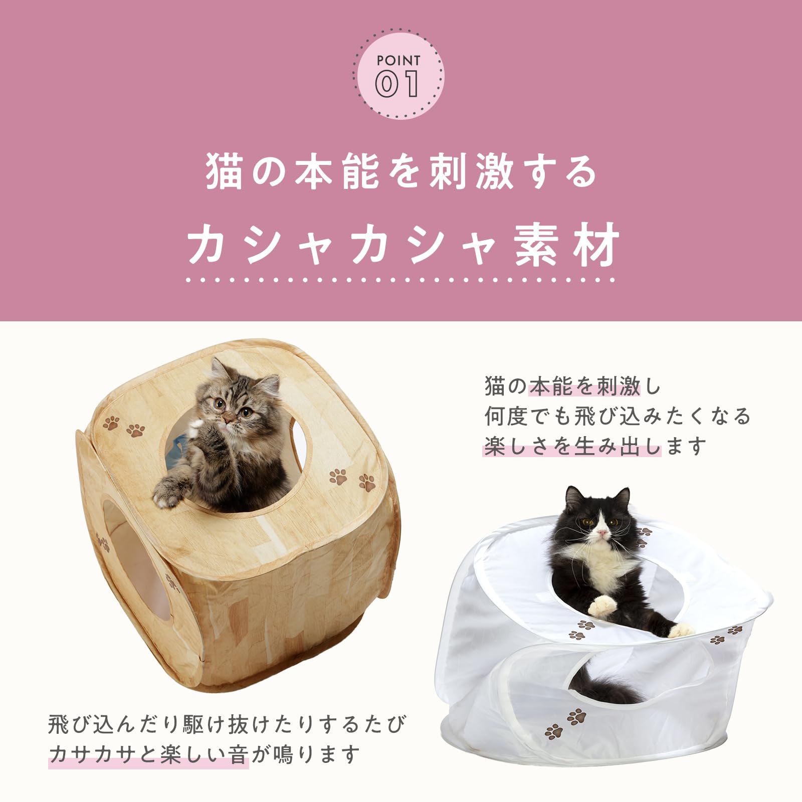 Amazon.co.jp: 猫壱 キャットプレイキューブ (ホワイト) : ペット用品