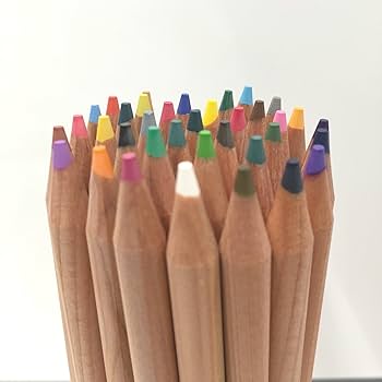 ナカバヤシ　セット売り Amazon | ナカバヤシ 色鉛筆 36色 筒ケース入 日本製 CP-36NW