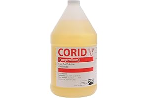 Corid - 9.6% Amprolium Solution: Safeguarding Chickens from Coccidiosis
