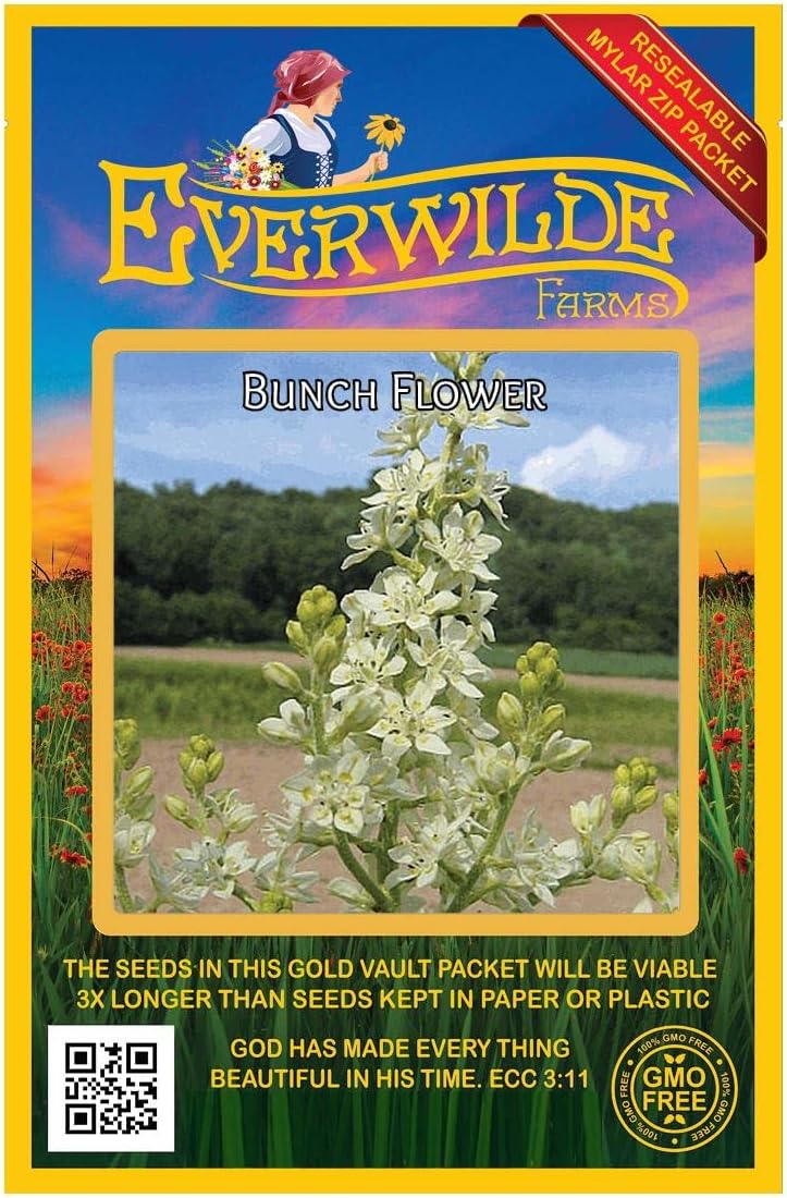 Everwilde Farms - 1 Oz Bunch Flower Native Wildflower Seeds - Gold Vault